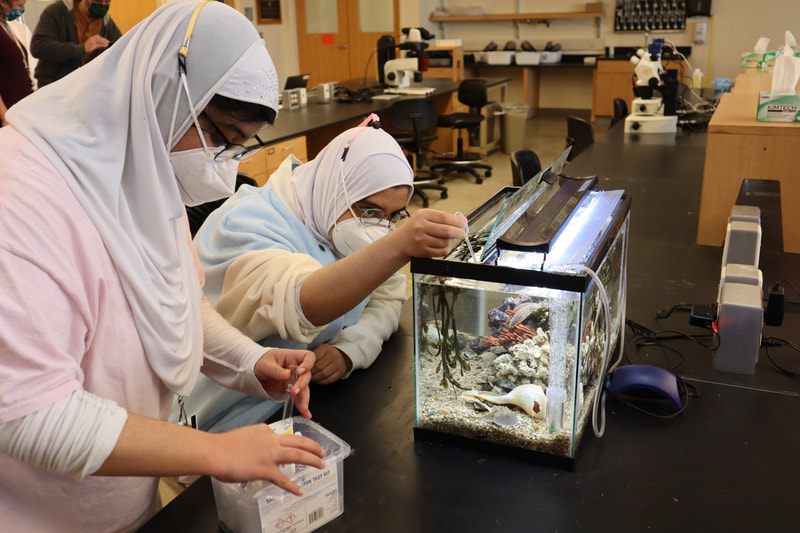 Two Lynn high school students test the water quality of their tank during the high school science discovery program at the Marine Biological Laboratory