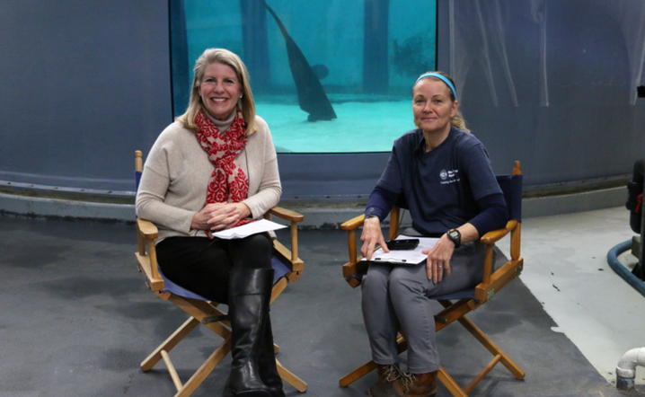 photos of two women in front of a tank at the New England Aquarium's annex building 