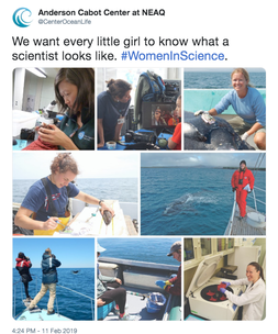 A tweet from the Anderson Cabot Center Twitter showing 8 photos of women in the field and in the lab with the #WomenInScience