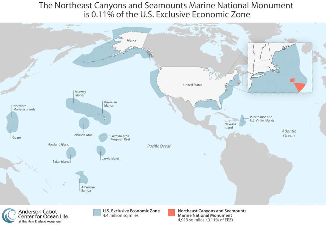 A map denoting the % of U.S. waters taken up by the Northeast canyons and Seamounts Marine National Monument (0.11% of the EEZ)