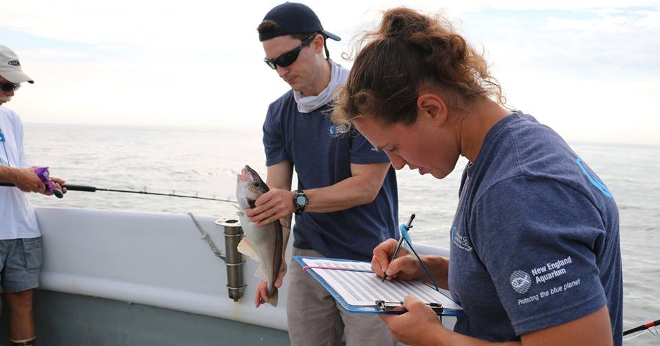 two scientists perform fisheries research. a women in the foreground writes on a notepad.