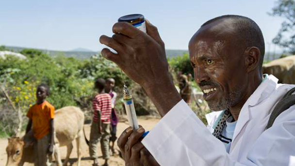 a man in a white lab coat prepares a needle to vaccinate livestock against Rift Valley Fever. Credit: USAID